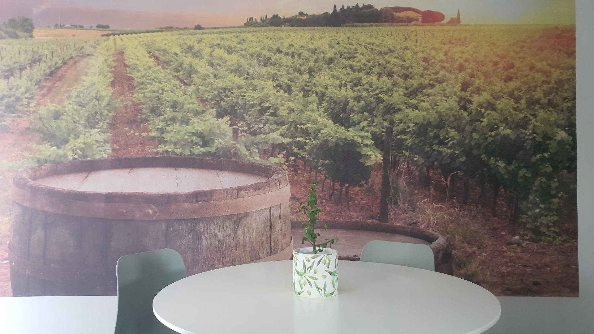Winelands vineyard with olive barrel and tasting table